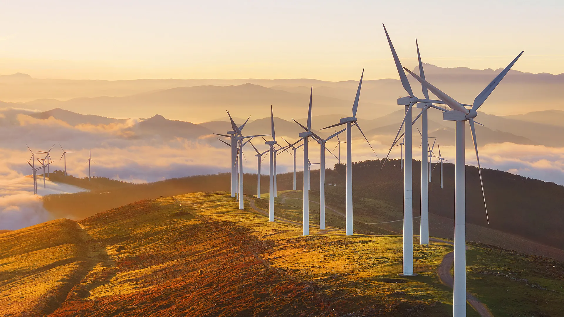 RENEWABLE ENERGY